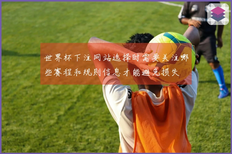 世界杯下注网站选择时需要关注哪些赛程和规则信息才能避免损失