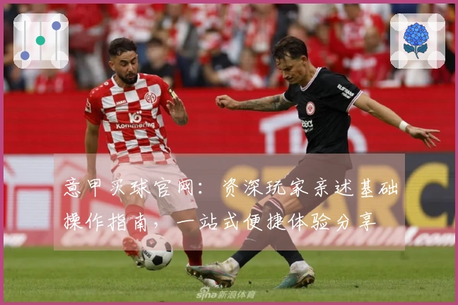 意甲买球官网：资深玩家亲述基础操作指南，一站式便捷体验分享