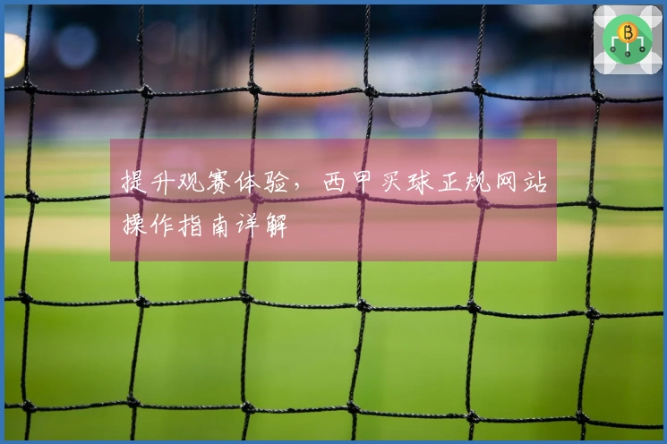 提升观赛体验，西甲买球正规网站操作指南详解