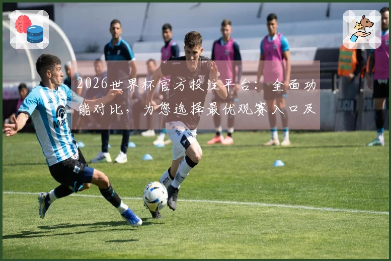 2026世界杯官方投注平台：全面功能对比，为您选择最优观赛入口及使用体验全指南