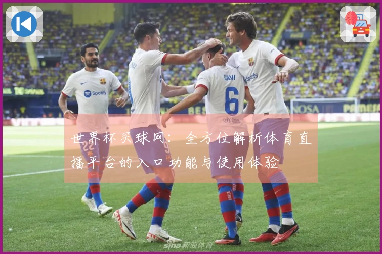 世界杯买球网：全方位解析体育直播平台的入口功能与使用体验