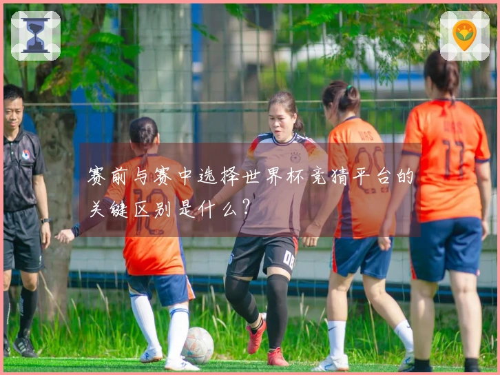 赛前与赛中选择世界杯竞猜平台的关键区别是什么？
